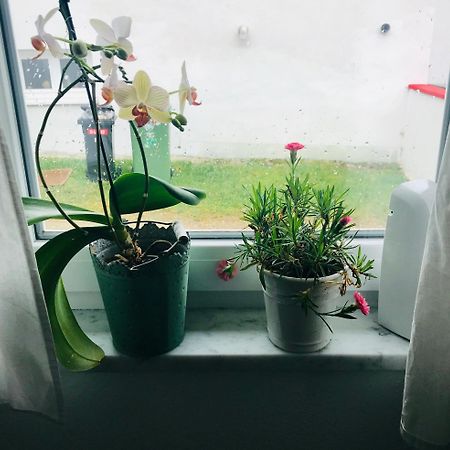 La Toskana Apartment Ihr Rueckzugsort Am Regen Zeitlarn المظهر الخارجي الصورة