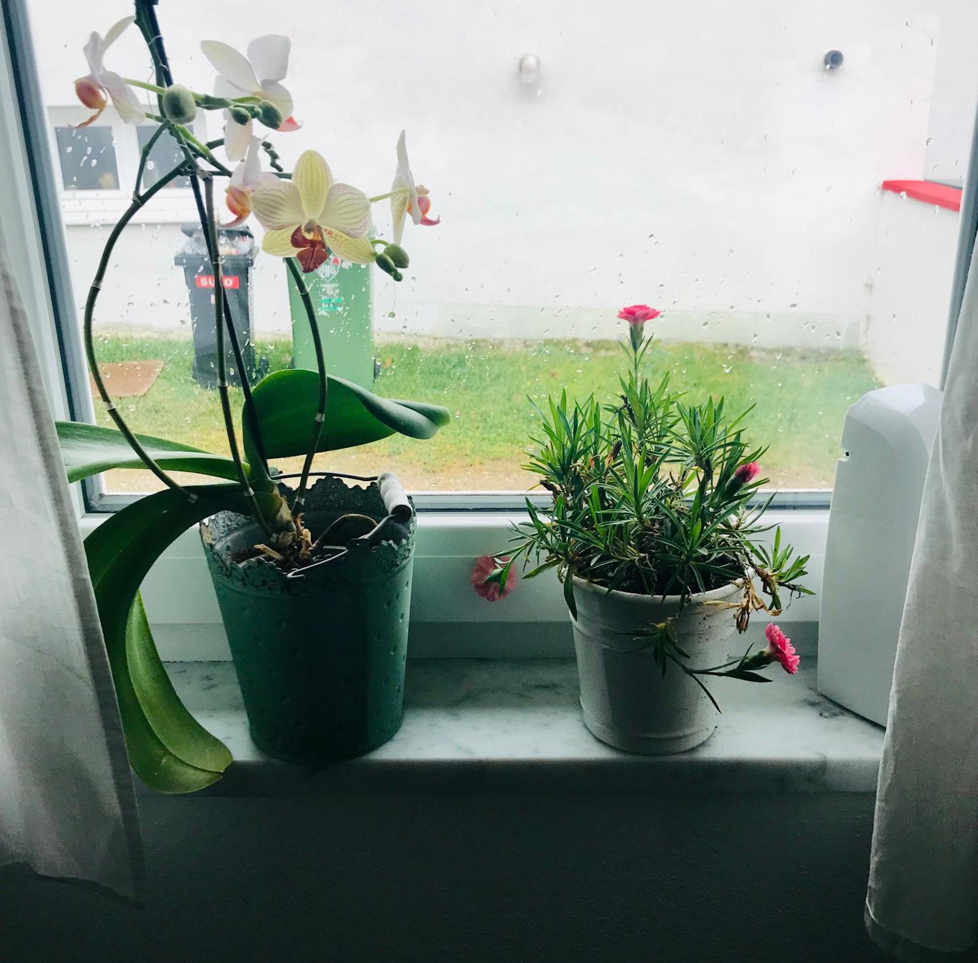 La Toskana Apartment Ihr Rueckzugsort Am Regen Zeitlarn المظهر الخارجي الصورة